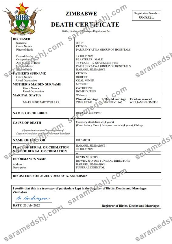 Zimbabwe vital record death certificate Word and PDF template